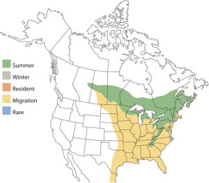 Range Map of Blackburnian Warbler
