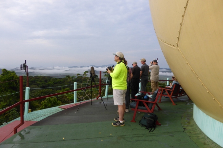 Birders on the observation deck of the Tower