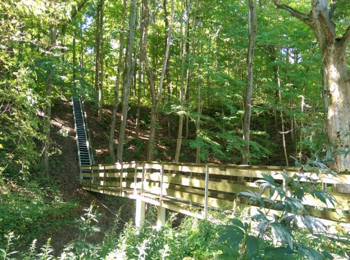 bridge-and-stairs-at-steyer-nature-preserve-800x594