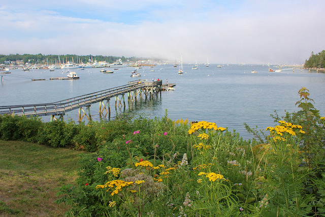 Typical scene along Maine coast - boats pier flowers