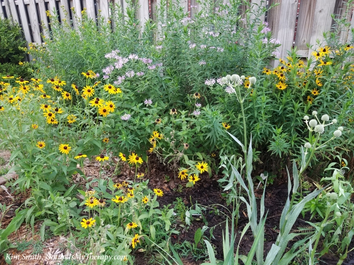 Various views of my garden - EB - blog (3)